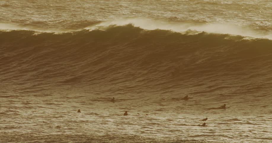 Several surfers are in front of a wave as it reaches its peak and is about to break over them
