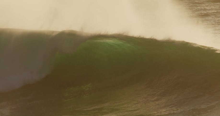 A powerful goldenhued ocean wave curls and begins to break revealing a translucent green inner tube