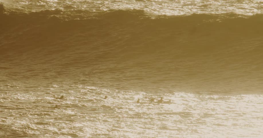 A group of surfers is visible in the golden sunlit ocean water with a large wave approaching in the background