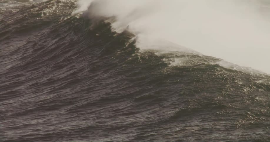 A massive ocean wave curls and crashes with powerful force