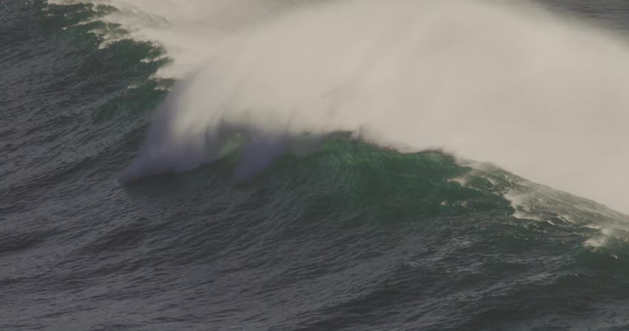 A wave builds and crashes