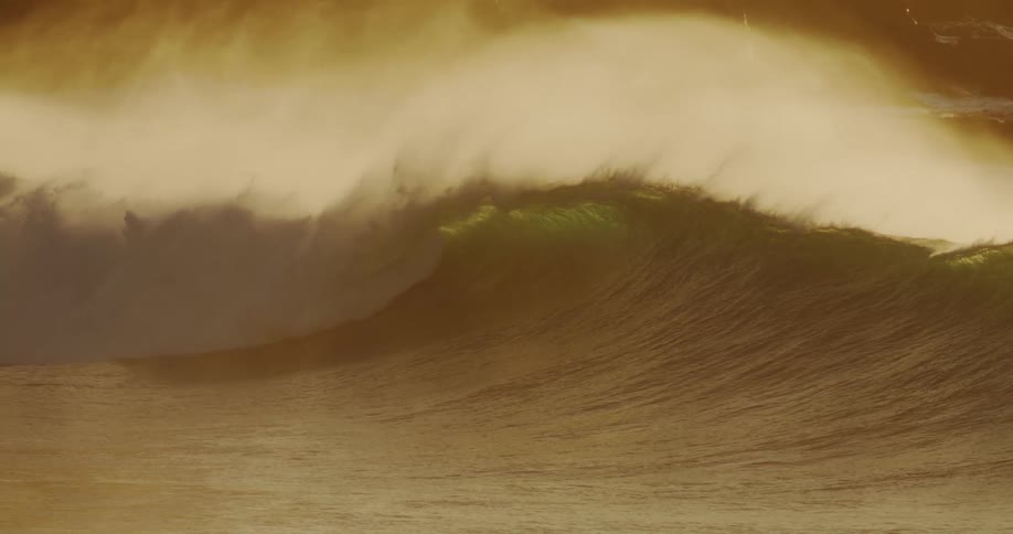A big wave in the sea