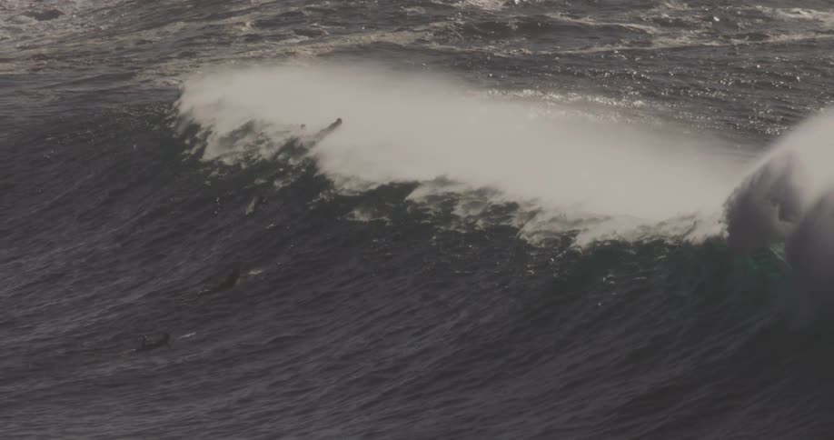 A group of people riding a forming wave on surfboards as the wave rises creating foam while crashing into the ocean