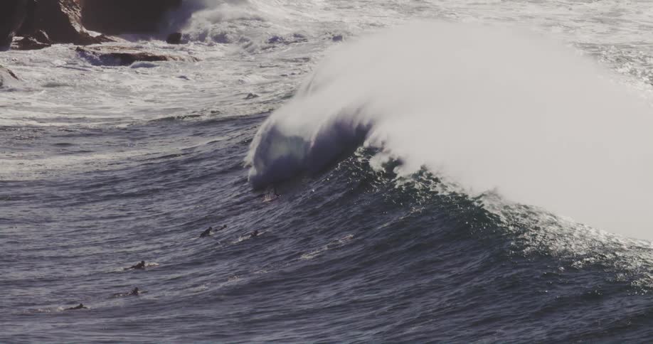 A wave forms in the ocean