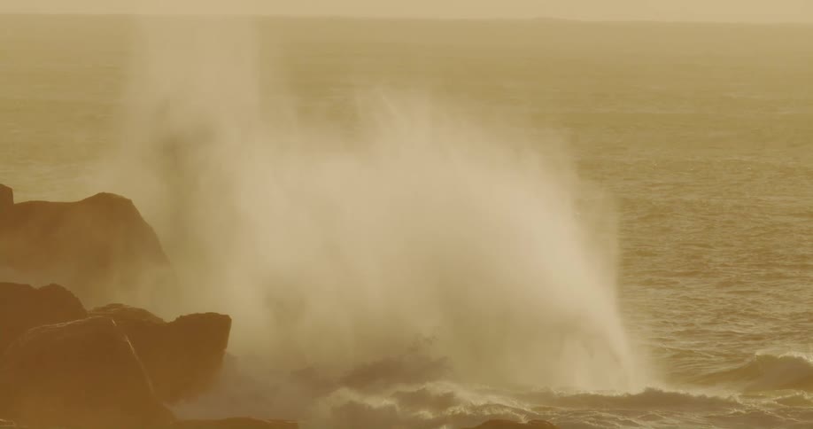The wave crashes on the rocks