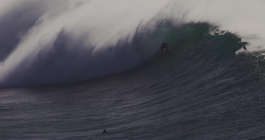 Multiple surfers lie on their surfboards while one rides the breaking wave