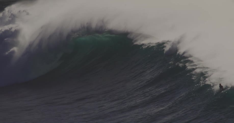 Bird flies past while a surfer rides a breaking wave