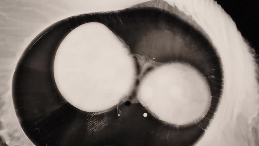 Two white circles overlap in black liquid with flowing patterns around it