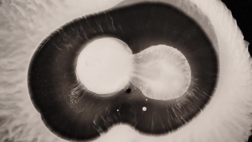 A black and white computer animated mushroom moves around very slowly