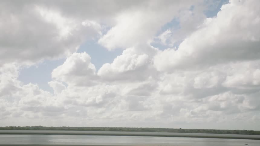Moving view through a natural area of a river and sparse vegetation