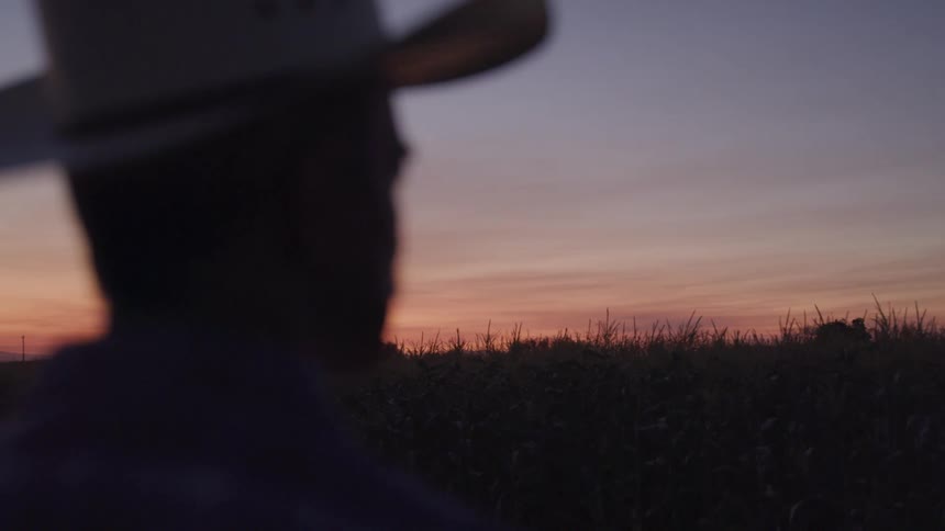 A silhouetted cowboy stands still with his back to the camera gazing across a quiet cornfield under a fading dusk sky