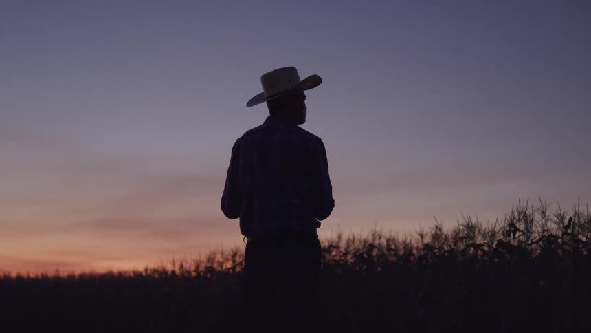 Man stands silhouetted against the red tinted sky while looking over a field of crops