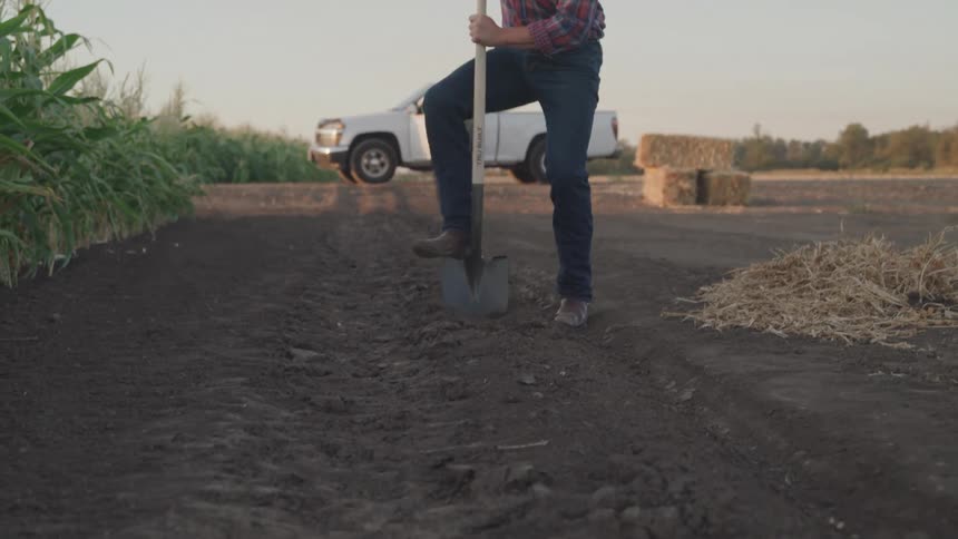 A farmer digs dirt by the crops