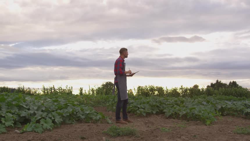 A man stands in a field