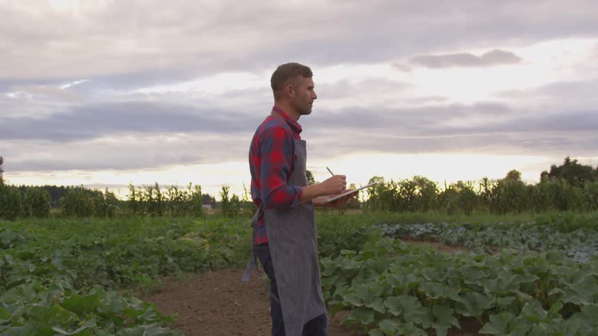A man stands among his crops