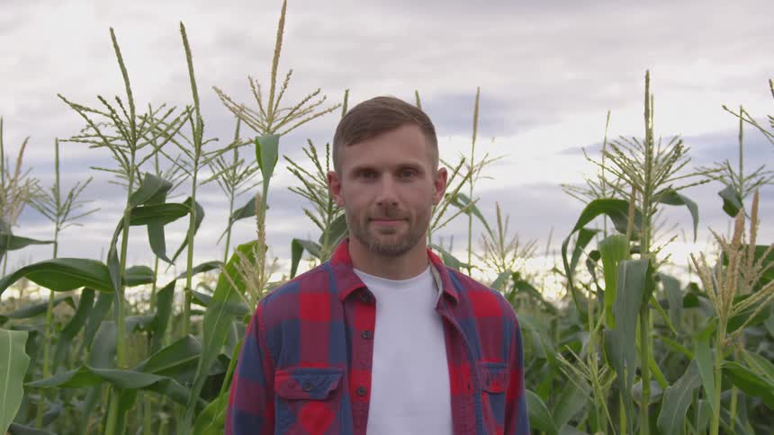 A young man with short brown hair and a beard stands in a cornfield while wearing a red and blue plaid shirt over a white tshirt