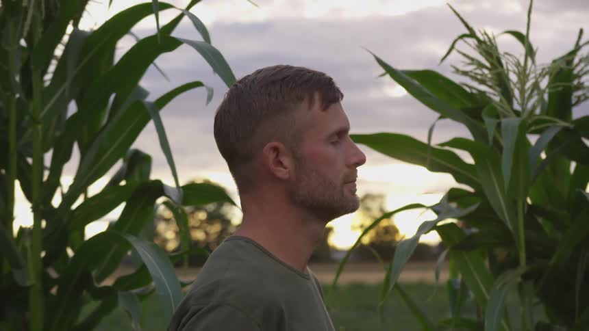 A man in a green shirt stands in a cornfield at sunset looking slightly upwards with a serene expression
