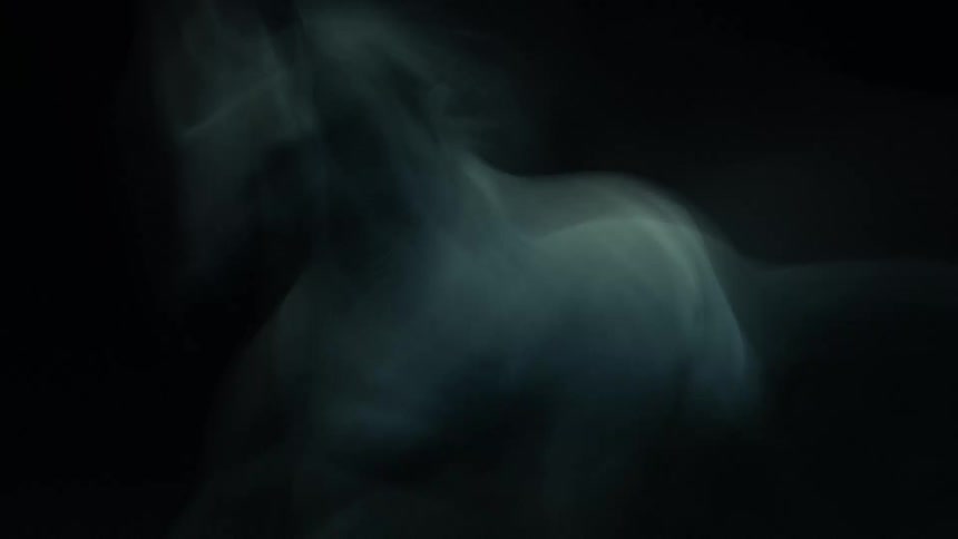 A ghostly white and gray horse slightly blurred appears to gallop from right to left against a dark background