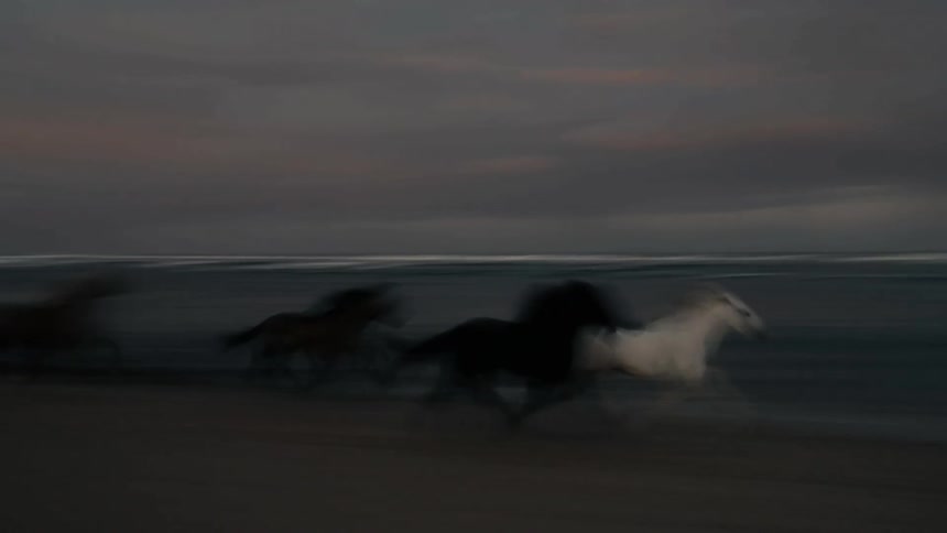 A group of horses running across the beach sand at sundown