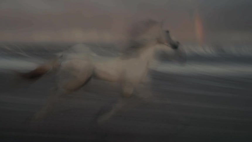 A white horse runs at full speed along the beach captured in a motion blur during dusk