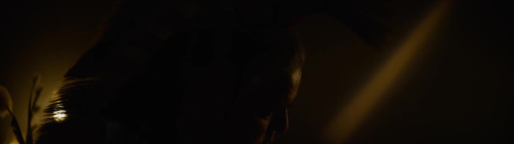 Silhouette of a person in traditional indigenous clothing