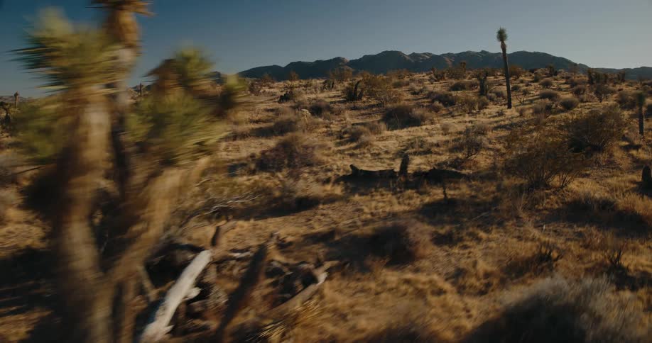 Mountains are at the end of the desert
