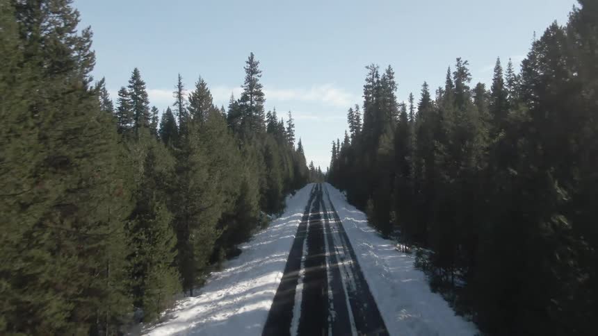 A long straight road covered in snow and ice extends through a dense pine forest under a clear bright sky