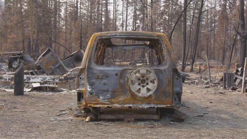 Burnedout suv sits amid the charred remains of a forest fire