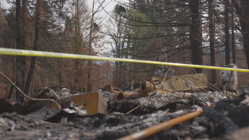 Fenced area with burnt debris in a forest