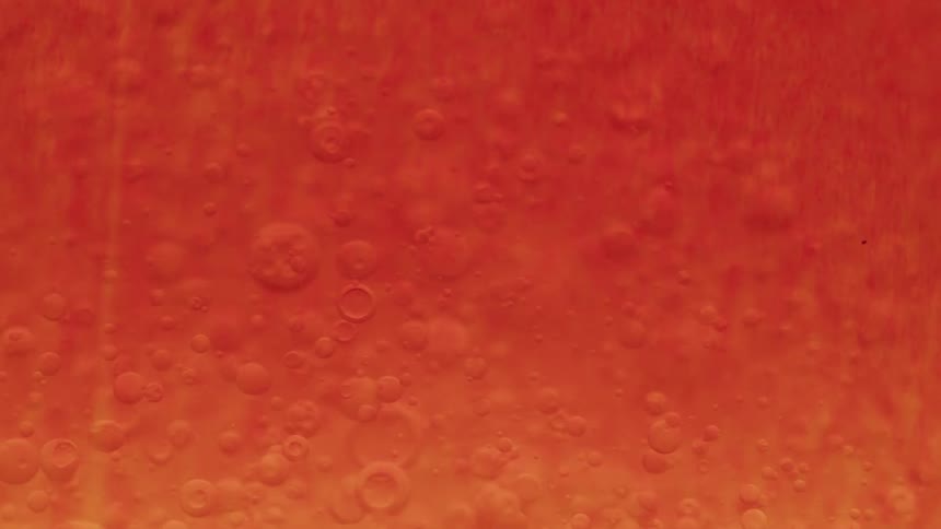 Bubbles float in the liquid