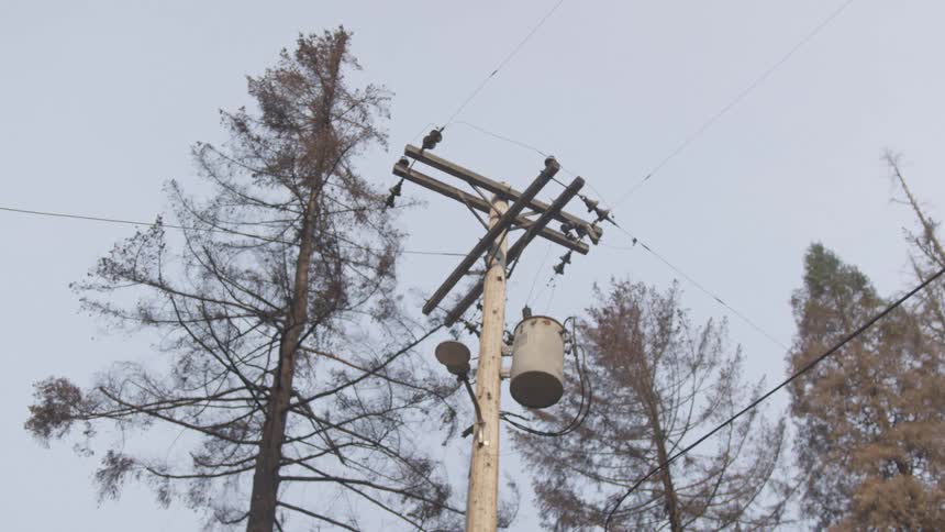 Looking up at a telephone pole