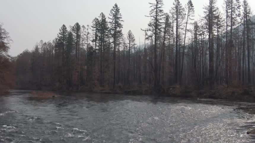 Flying over a river in the woods