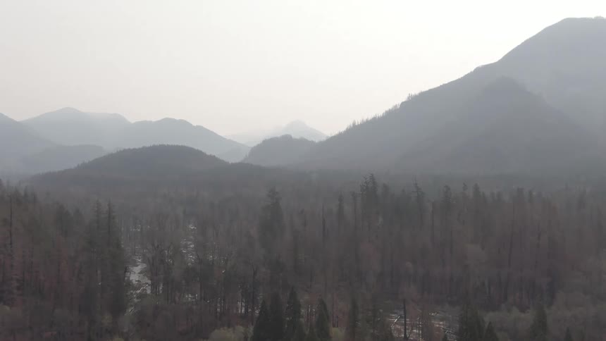 Aerial panorama of mountain silhouettes and a coniferous forest