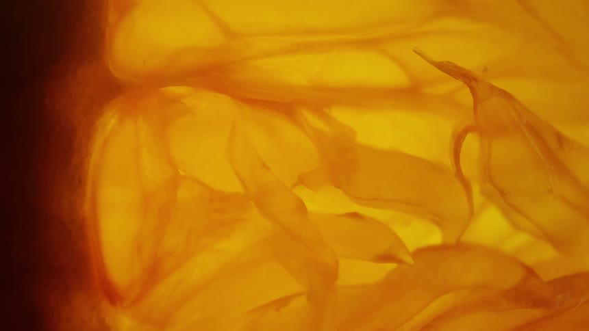 Extreme close up of a slice of orange fruit