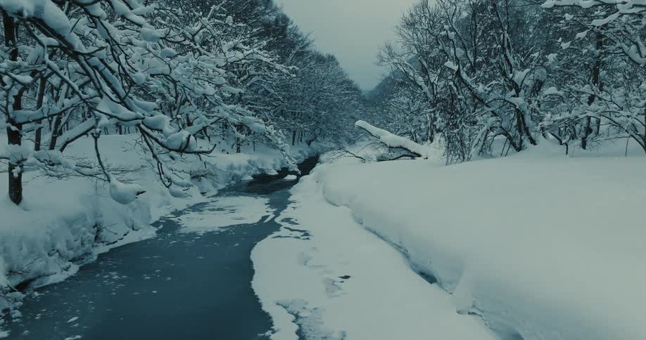 Snowcovered forest with a narrow river cutting through the winter landscape