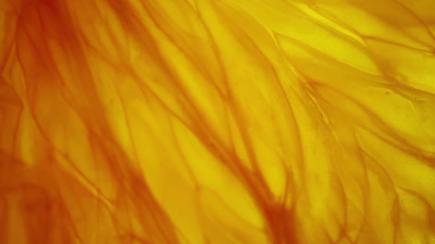 Extreme close up of an orange fruit