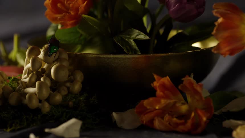 A bowl filled with colorful tulips and green foliage surrounded by scattered flower petals and a cluster of lightcolored mushrooms with an iridescent green beetle