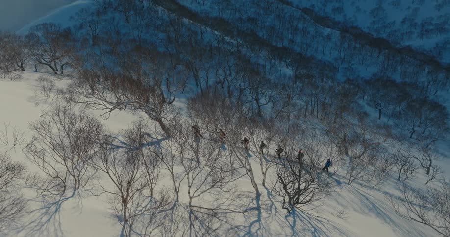 7 people climbing a snowcovered mountain with skis