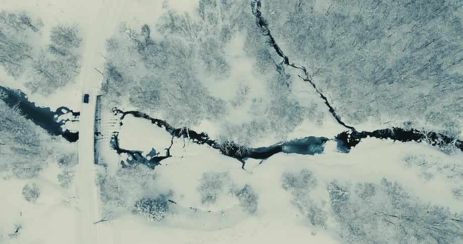 Aerial view of a forest area with a river and a car passing on a paved area