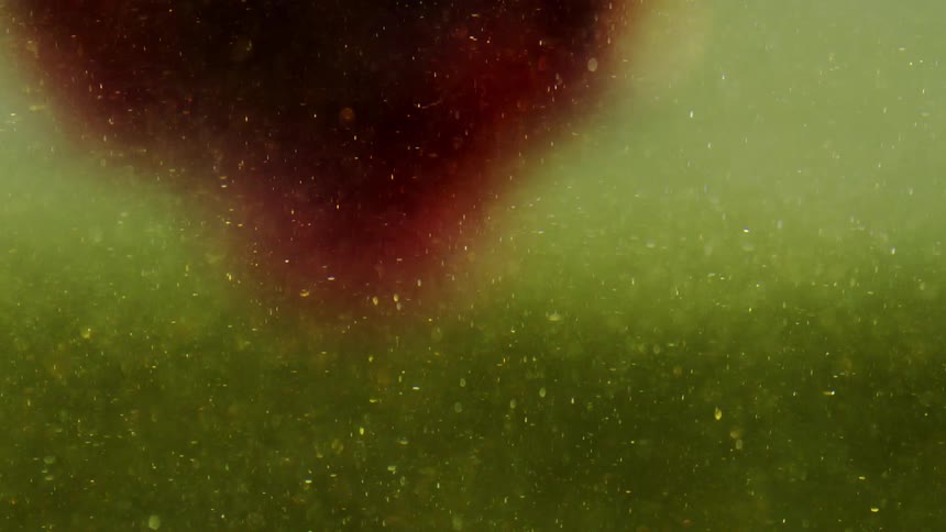 The flower fills the water with pollen