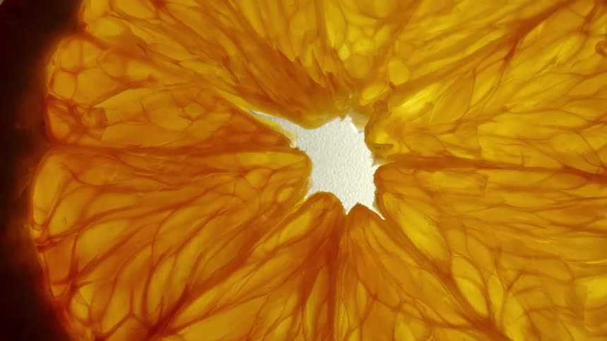 Citrus fruit slices lie on a pale surface during the daytime