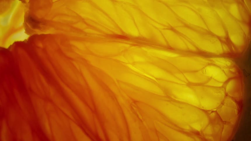 The lemon slice is in front of a light