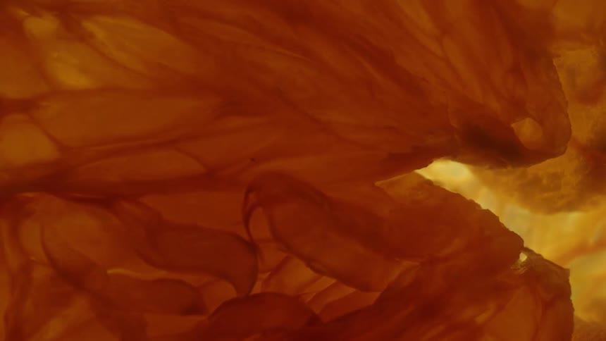 Light flickers on the yellow flower