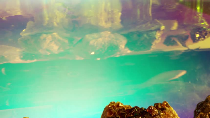 The reflection on the surface of a blue water of stones in an outdoor environment