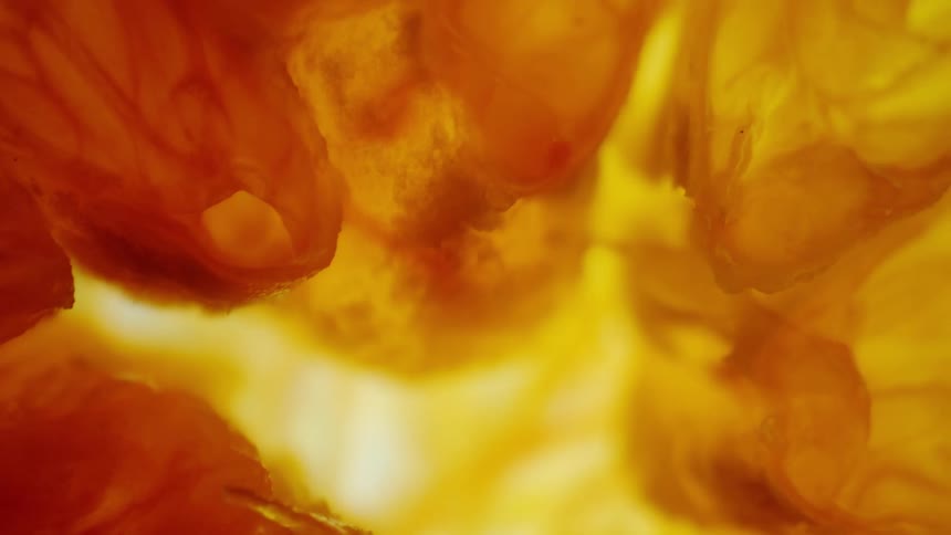 Extreme close up of a sliced orange
