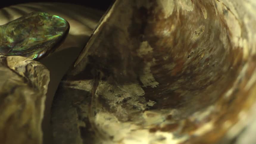 A stone jewel lying on a surface as light shines upon it highlighting its natural luster and facets