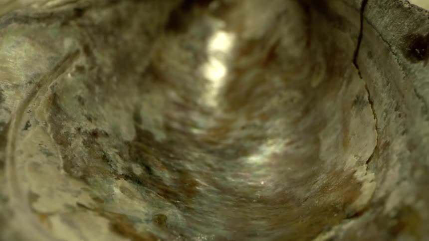 Textured and reflective surface