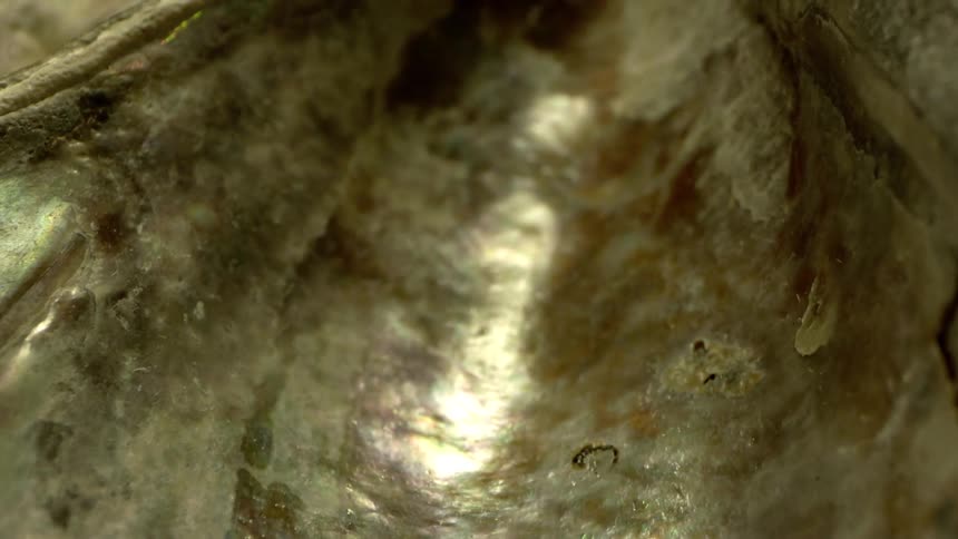 Crawling along a small tunnel