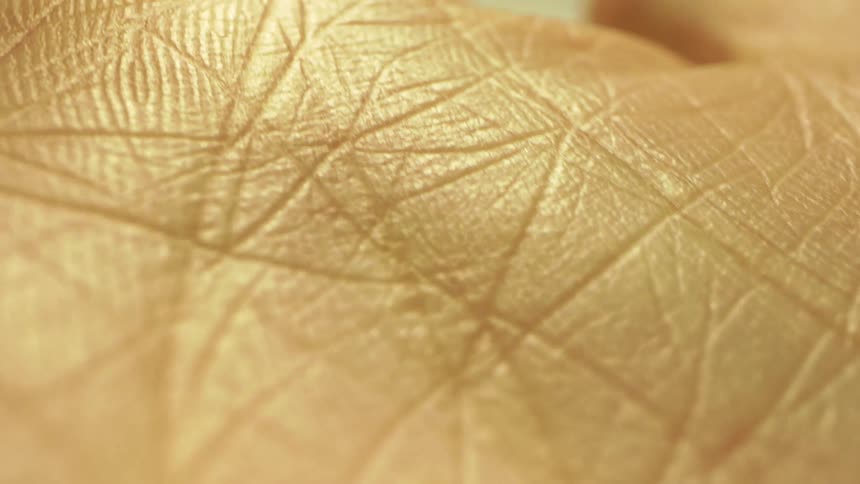 Lines of various depths create patterns on the skin of the palm and fingers of a hand