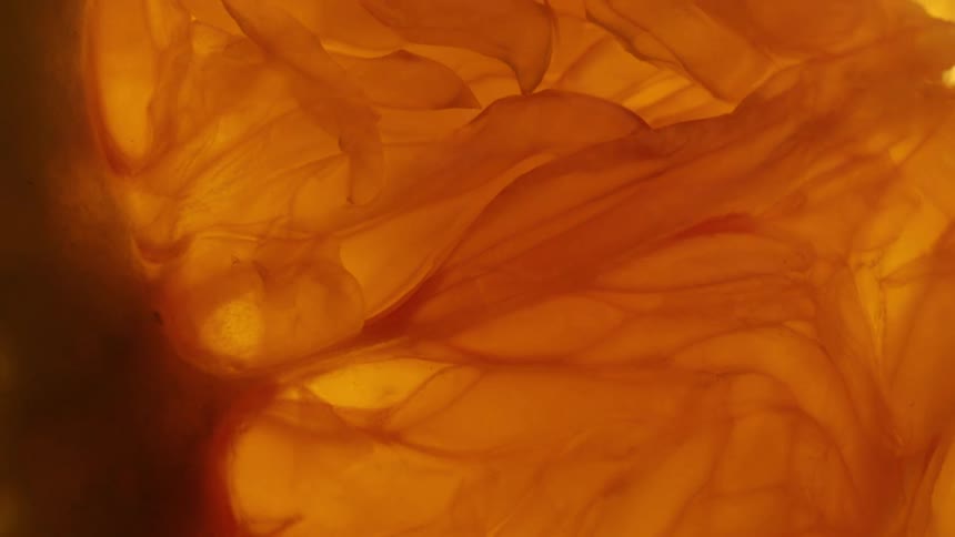 A slice of fruit is on display